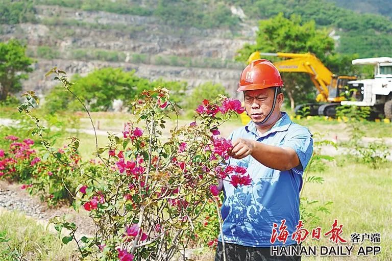 海南這座礦山，為何這么綠？4.jpg
